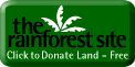 Click to save land in a rainforest for Free!